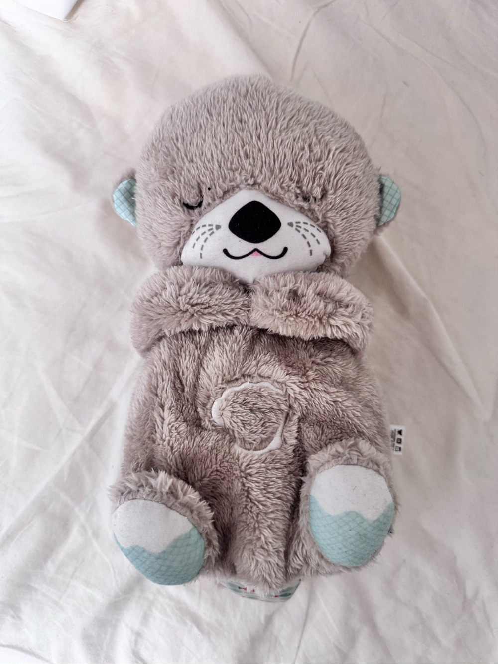 Fisher Price Breathing Otter